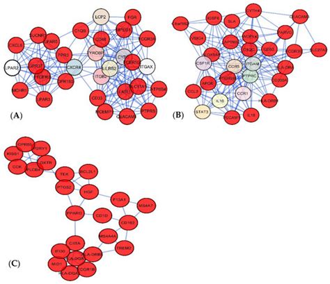 Jpm Free Full Text Integrative Systems Biology Approaches To