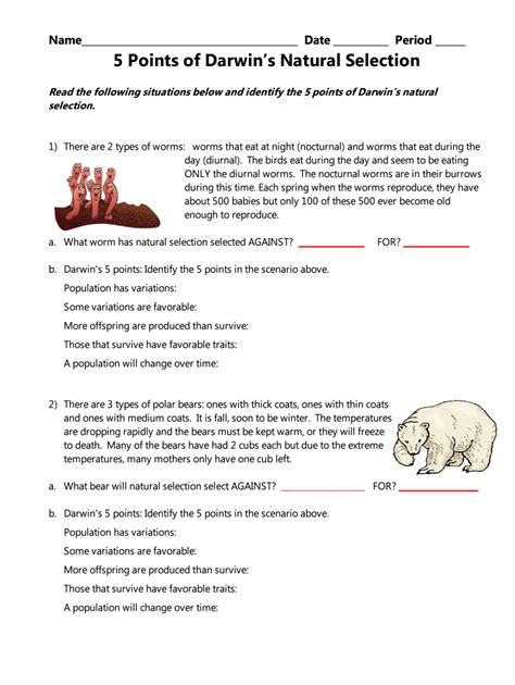 Fillable Online 5 Points Of Darwins Natural Selection Fax Email Print