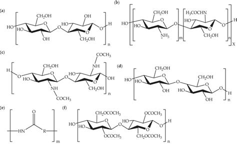 Chemical Structures Of Biopolymers A Cellulose B Chitosan C