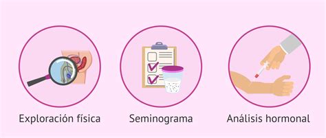 ¿cómo Saber Si Soy Estéril Pruebas De Fertilidad En El Hombre