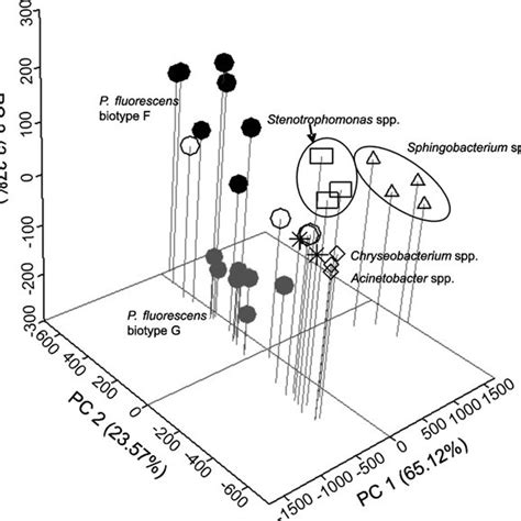 Principal Component Analysis Of Biolog Substrate Utilization Patterns