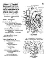 Chambers Of The Heart Coloring Pages