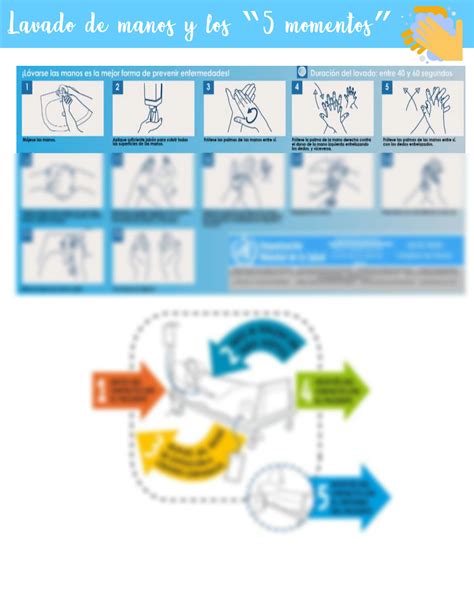 Solution Lavado De Manos Y Los Momentos Studypool