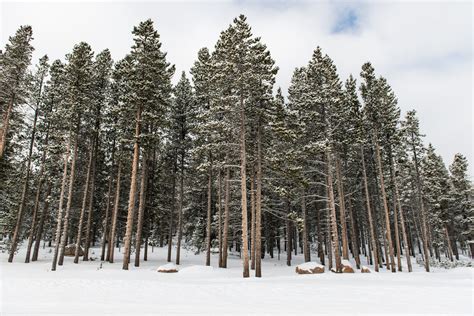 Winter in Sheridan 2018 - Sheridan, Wyoming Travel and Tourism