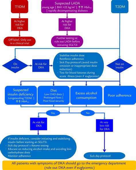 Sglt2 Inhibitorassociated Diabetic Ketoacidosis Clinical Review And Recommendations For