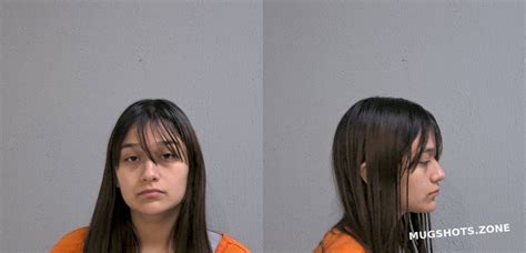 Picasso Eliza 02122024 Hidalgo County Mugshots Zone