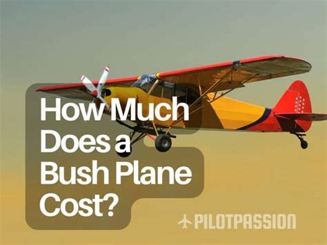 How Much Does A Bush Plane Cost Prices