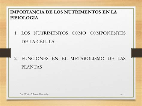 NUTRICIÓN VEGETAL Dra Mónica Beatriz López Hernández ppt descargar