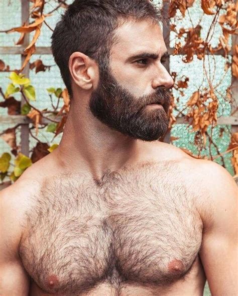 Fantasmes Hairy Men Hairy Chested Men Hairy Muscle Men