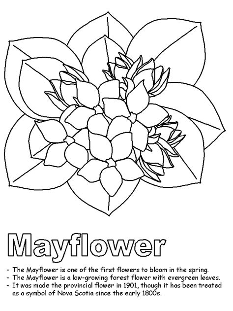 Nova Scotia Coloring Pages Clip Art Library