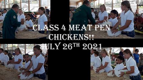 Our 4h Adventures Class 4 Meat Pen Chickens Youtube