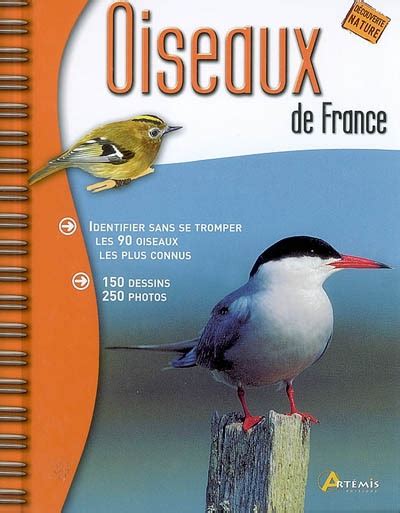 Oiseaux De France Identifier Sans Se Tromper Les Oiseaux Les Par