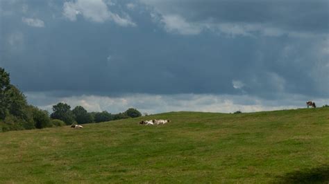 Auf Dem E Von Klein Gr Nau Nach Ratzeburg Entdeckergen