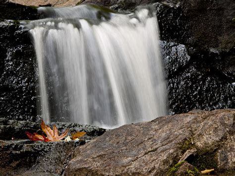 The Leaf by the Waterfall Photograph by Rae Tucker - Fine Art America