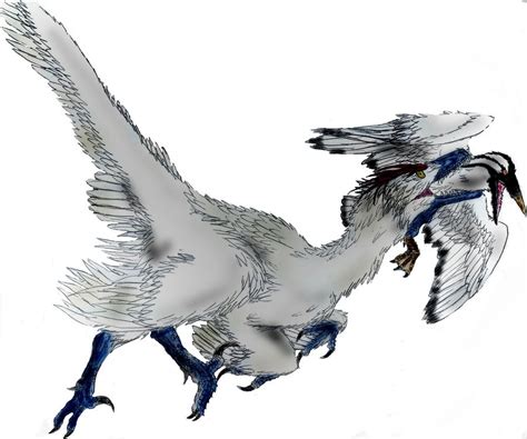 Saurornitholestes Pictures & Facts - The Dinosaur Database