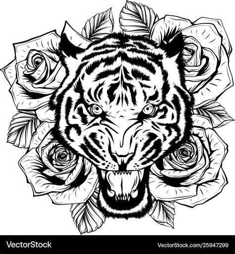 Roaring Tiger Drawing