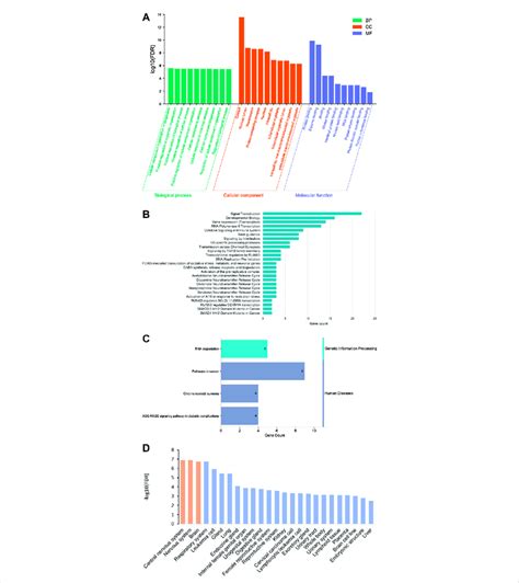 Gene Ontology Go Functional Analysis Histogram A Bar Plot Of