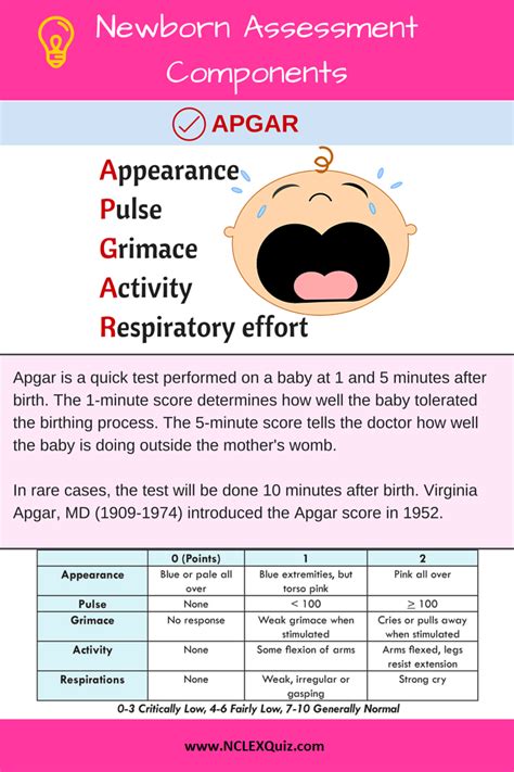 Newborn Assessment Components Nclex Quiz