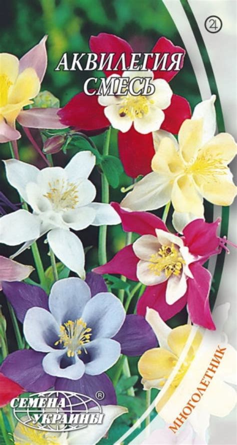 Aquilegia seeds Columbine seedsAquilegia mix seedsorganic | Etsy