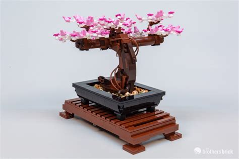 LEGO Botanical Collection 10281 Bonsai Tree TBB Review 6CY86 39 The