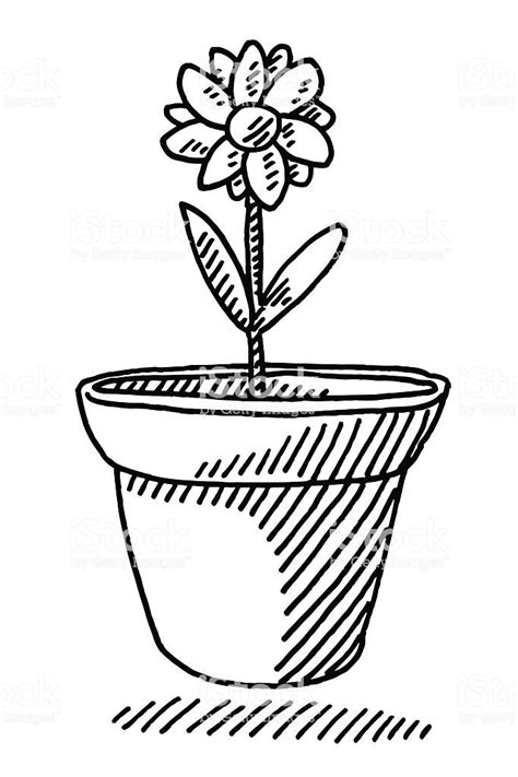 Hand Drawn Vector Drawing Of A Flower Pot Plant Black And White