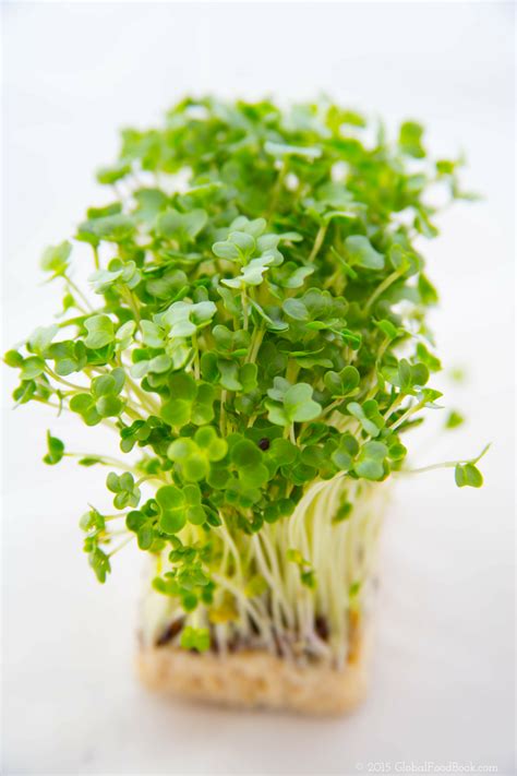 15 Astonishing Benefits Of Garden Cress Halim Seeds Benefits Of Gardening Seeds Benefits Herbs