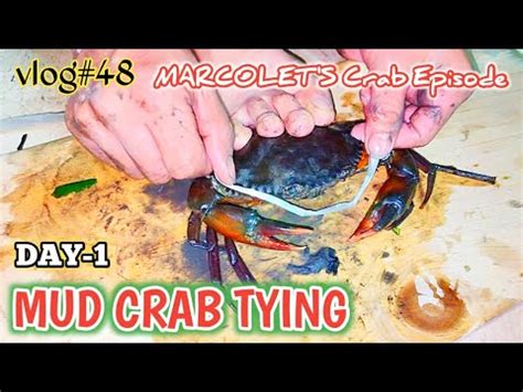 SIMPLE Na Pagtatali Ng Alimango How To Tie Mud Crab MARCOLET S Crab