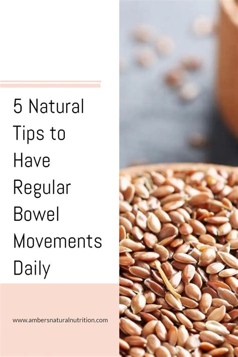 5 Tips to Have Regular Bowel Movements Daily - Amber's Natural ...