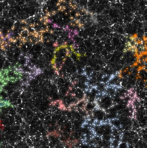 New Perspective on the Fundamental Structure of the Universe