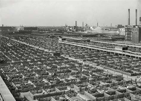 Union Stockyards Chicago 1941 Imagesofthe1940s