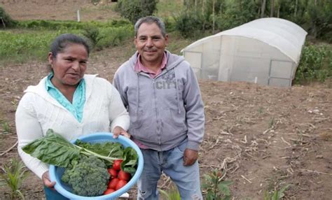 Contribuir N Tecnol Gicos A La Autosuficiencia Alimentaria De M Xico