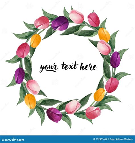 Watercolor Tulips Wreath Colorful Tulips On White Background