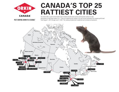 Canadas Top 25 Rattiest Cities 2022 Orkin Canada Canada