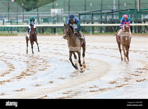 Horse Race Track Field Hi Res Stock Photography And Images Alamy