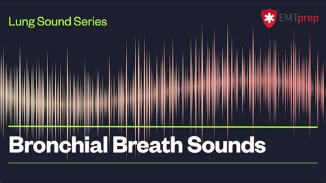 Bronchial Breath Sounds - EMTprep.com - YouTube