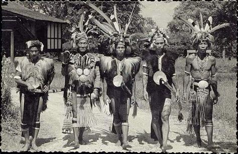 Borneo Is The 3rd Largest Island In The World The Indegenous Tribes