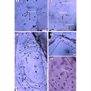 The Criteria For Identifying Primary Fluid Inclusions A B Isolated