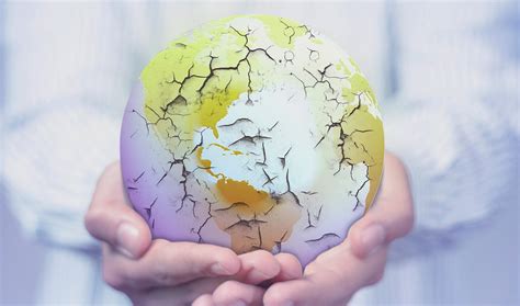 Environmental Destruction World Centric Blog