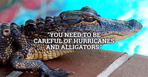 Florida, According to 15 People Who’ve Never Been There - Thrillist