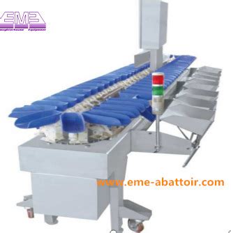 Electronic Automatic Grading Scale Chicken Meat Procesisng Equipment