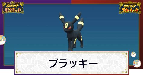 【ポケモンsv】ブラッキーの入手方法と進化条件｜技と種族値【スカーレットバイオレット】 神ゲー攻略