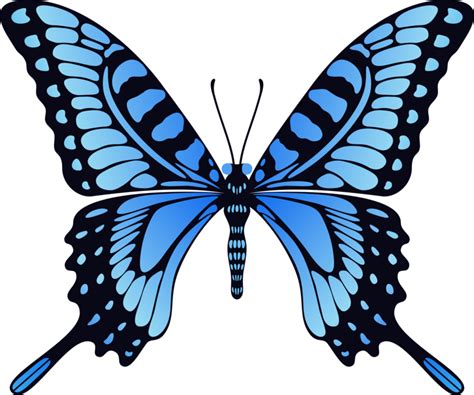 Download Butterfly PNG Image for Free