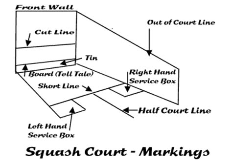 Squash Court Lines Explained Prntbl Concejomunicipaldechinu Gov Co