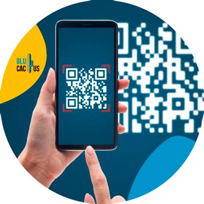 Blucactus Codigos QR Y Su Utilidad En Las Estrategias De Marketing