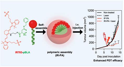 Nanoassemblies Of Heptamethine Cyanine Dye Initiated Polyamino Acid