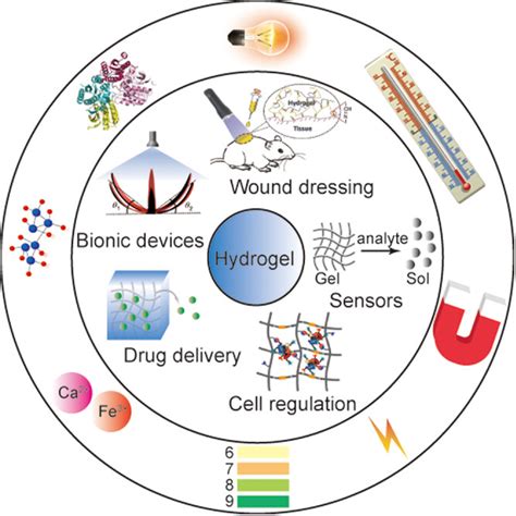 Stimuliresponsive Hydrogels Fabrication And Biomedical Applications