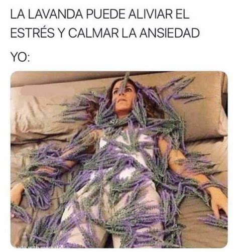 Dopl3r On Twitter La Lavanda Puede Aliviar El EstrÉs Y Calmar La Ansiedad Yo Ansiedad Lavar