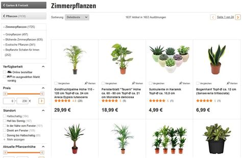 Zimmerpflanzen online kaufen - Gartentipps.com