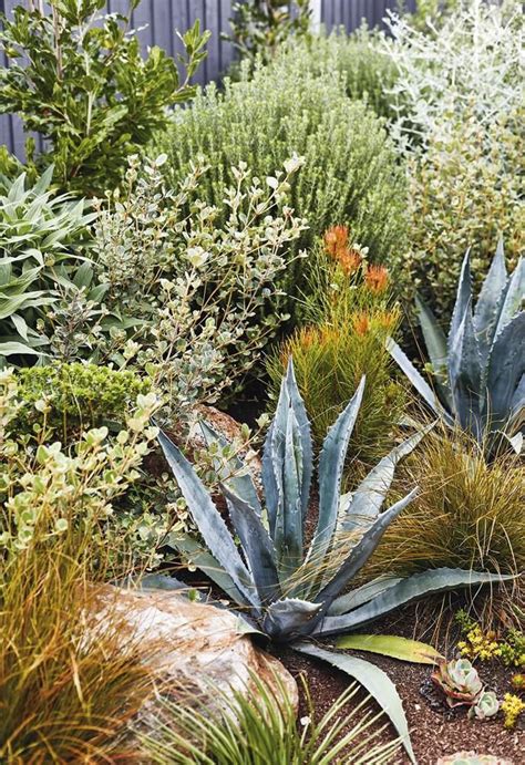 Sorting Out A Multi Level Garden With Beds Sporting Vibrant Low