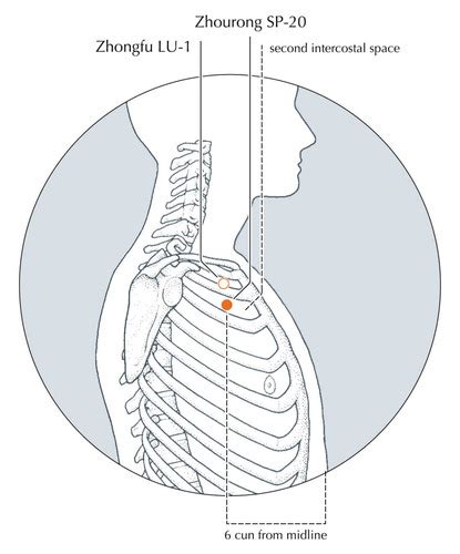 Confusing Acupuncture Points Flashcards Quizlet